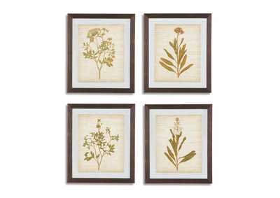 Image for Dyani Wall Art (Set of 4)
